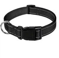 Collier réfléchissant pour chien