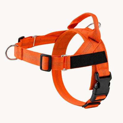 Harnais anti-traction pour chien