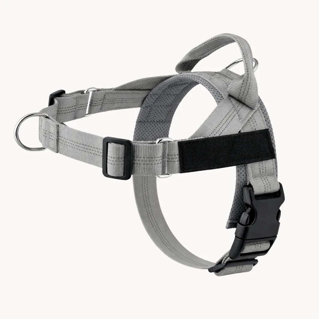 Harnais anti-traction pour chien
