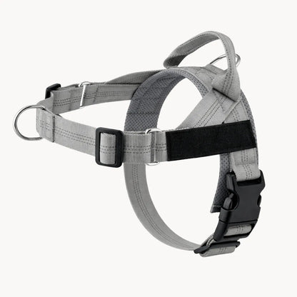 Harnais anti-traction pour chien