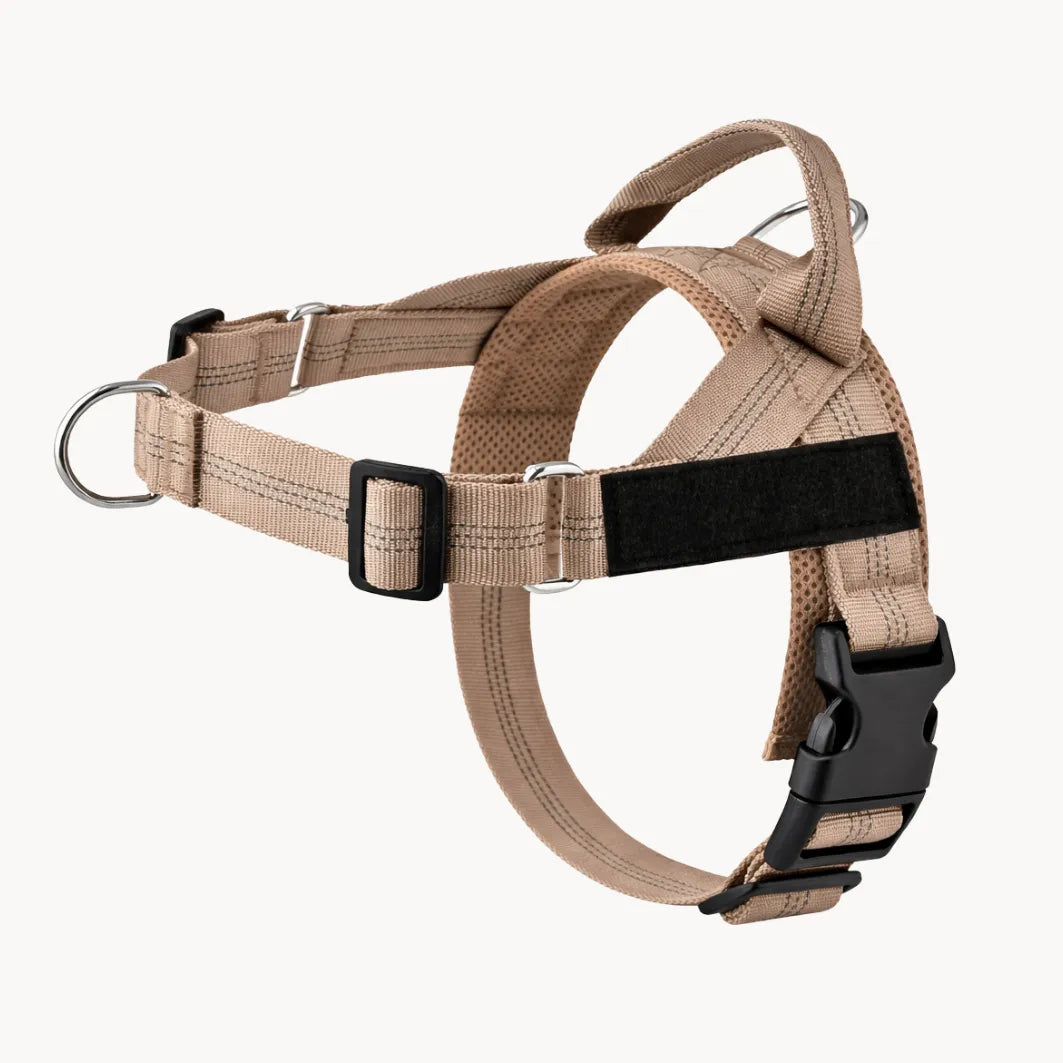 Harnais anti-traction pour chien