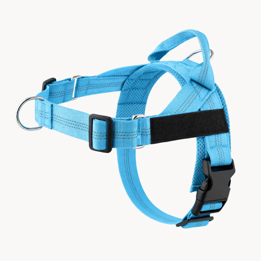 Harnais anti-traction pour chien