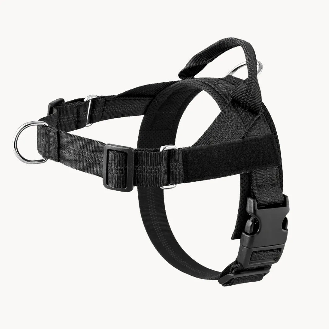 Harnais anti-traction pour chien