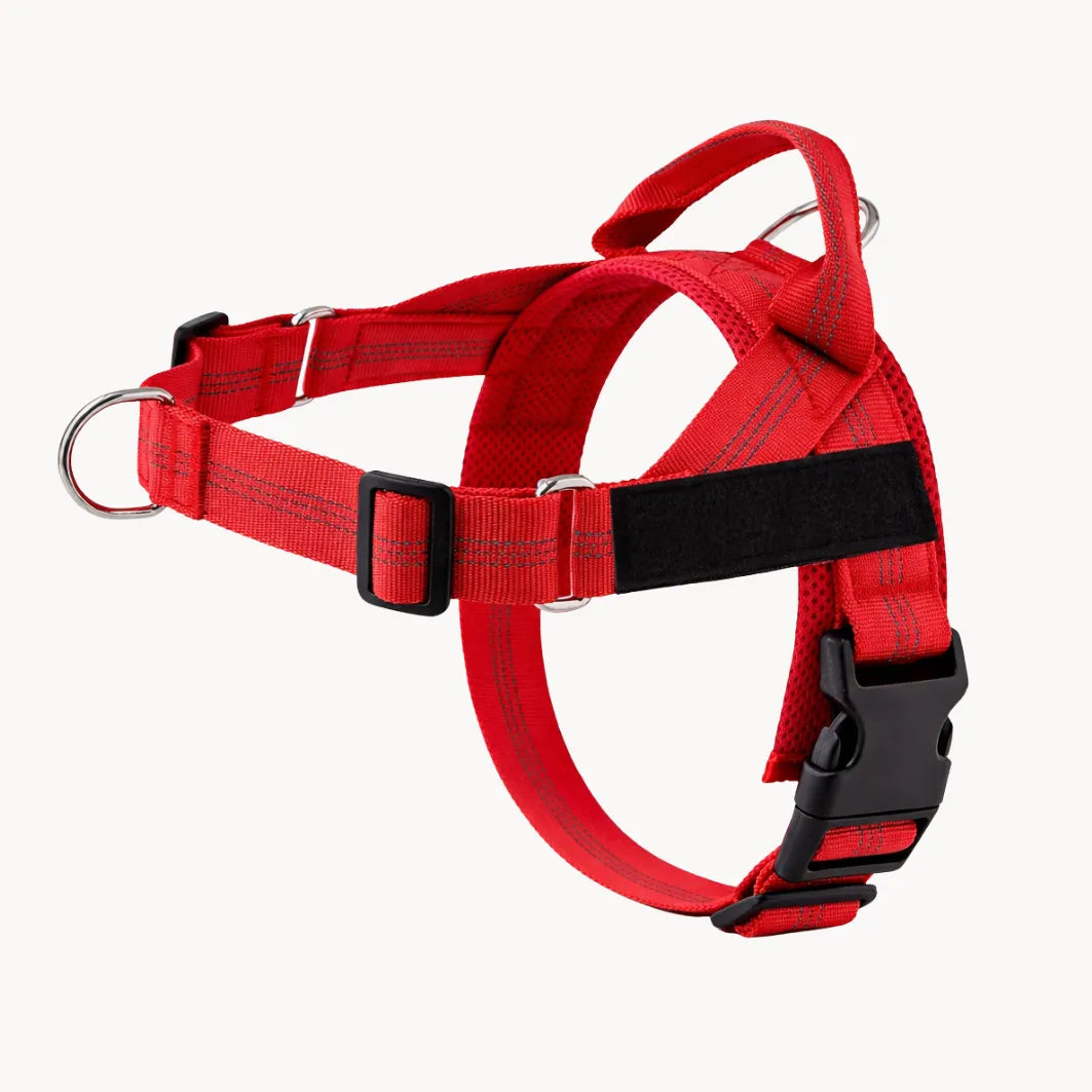 Harnais anti-traction pour chien