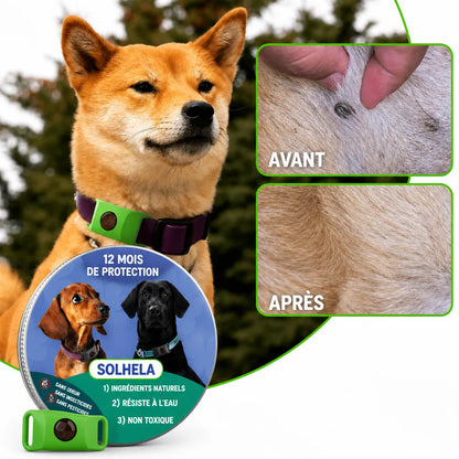 Pendentif antiparasitaire 100% naturel