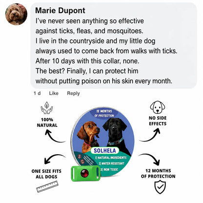 100% Natural Flea & Tick Repellent Pendant