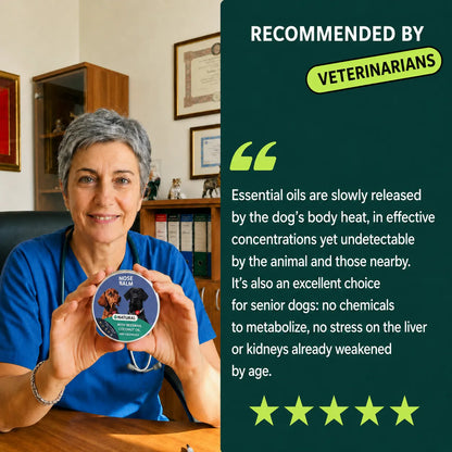 100% Natural Flea & Tick Repellent Pendant
