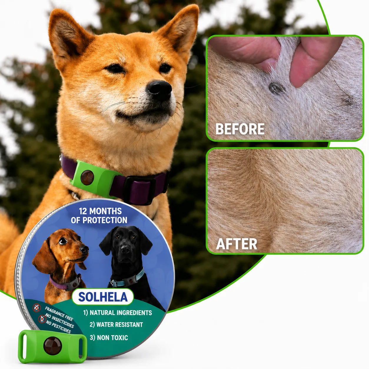 100% Natural Flea & Tick Repellent Pendant