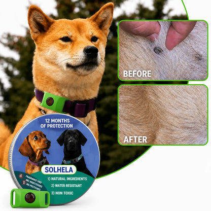 100% Natural Flea & Tick Repellent Pendant
