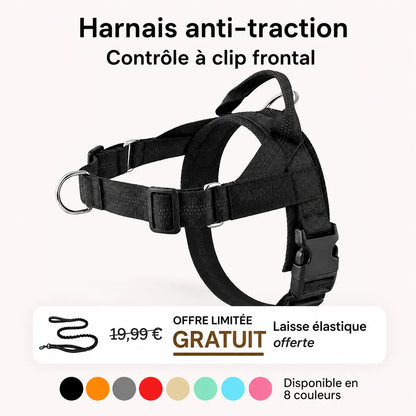 Harnais anti-traction pour chien