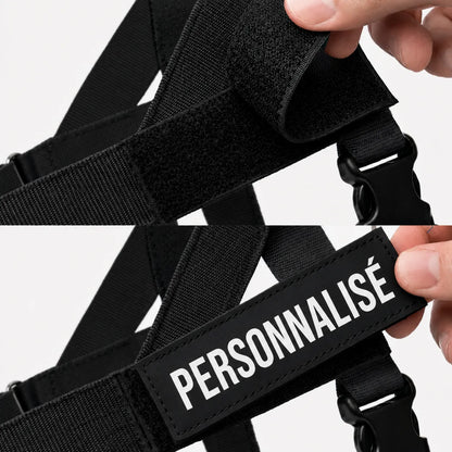 Harnais anti-traction pour chien