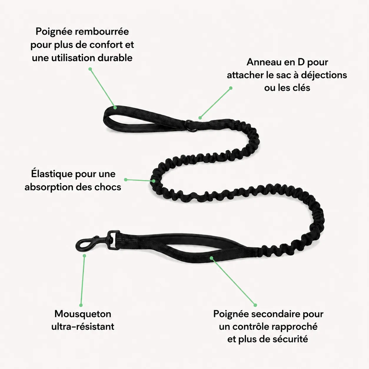 Harnais anti-traction pour chien