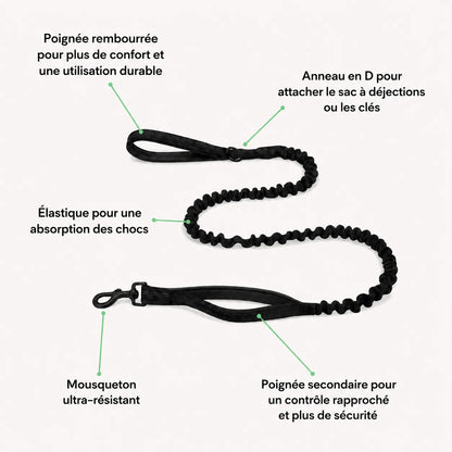 Harnais anti-traction pour chien