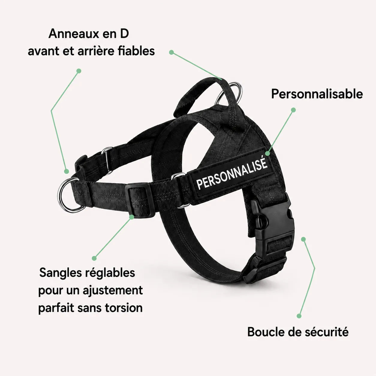 Harnais anti-traction pour chien