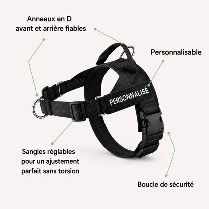 Harnais anti-traction pour chien