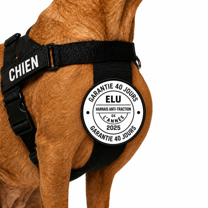 Harnais anti-traction pour chien