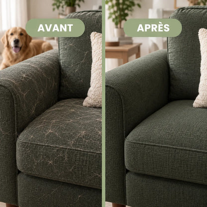 Gant anti-poils chiens et chats