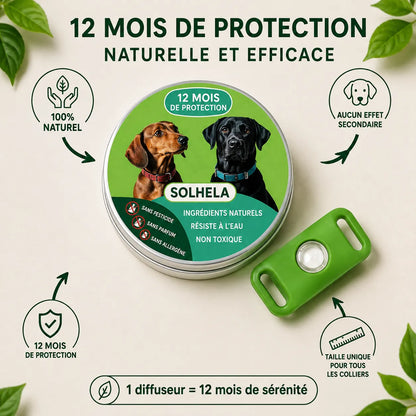100% Natural Flea and Tick Collar