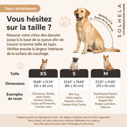 Tapis rafraîchissant pour chien et chat (1 acheté + 1 offert)