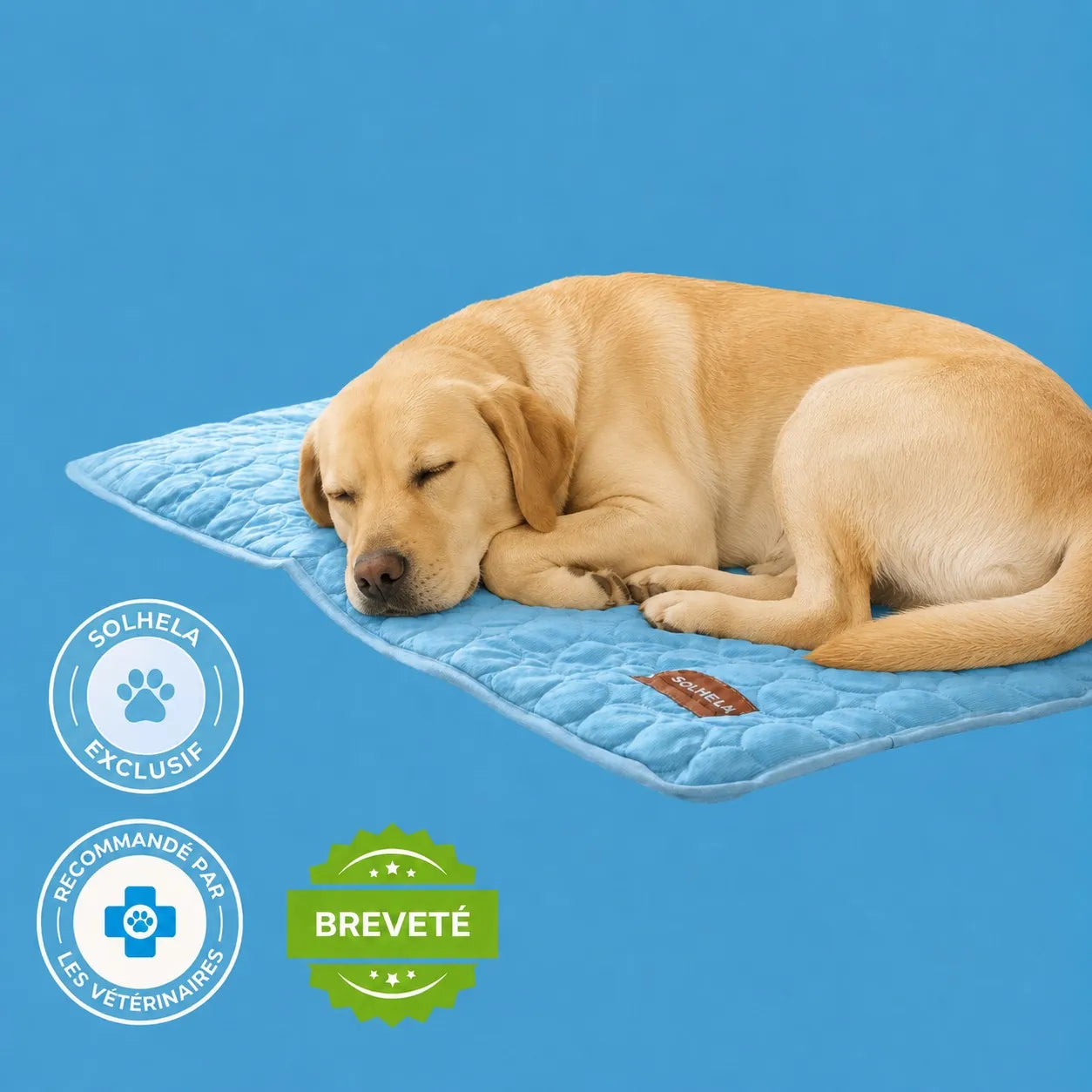 Tapis rafraîchissant pour chien et chat (1 acheté + 1 offert)