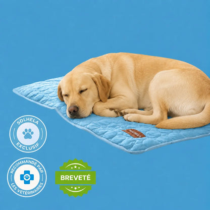 Tapis rafraîchissant pour chien et chat (1 acheté + 1 offert)