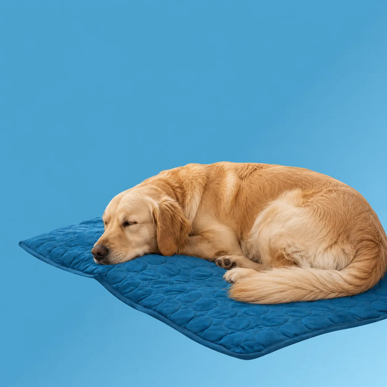 Tapis rafraîchissant pour chien et chat (1 acheté + 1 offert)
