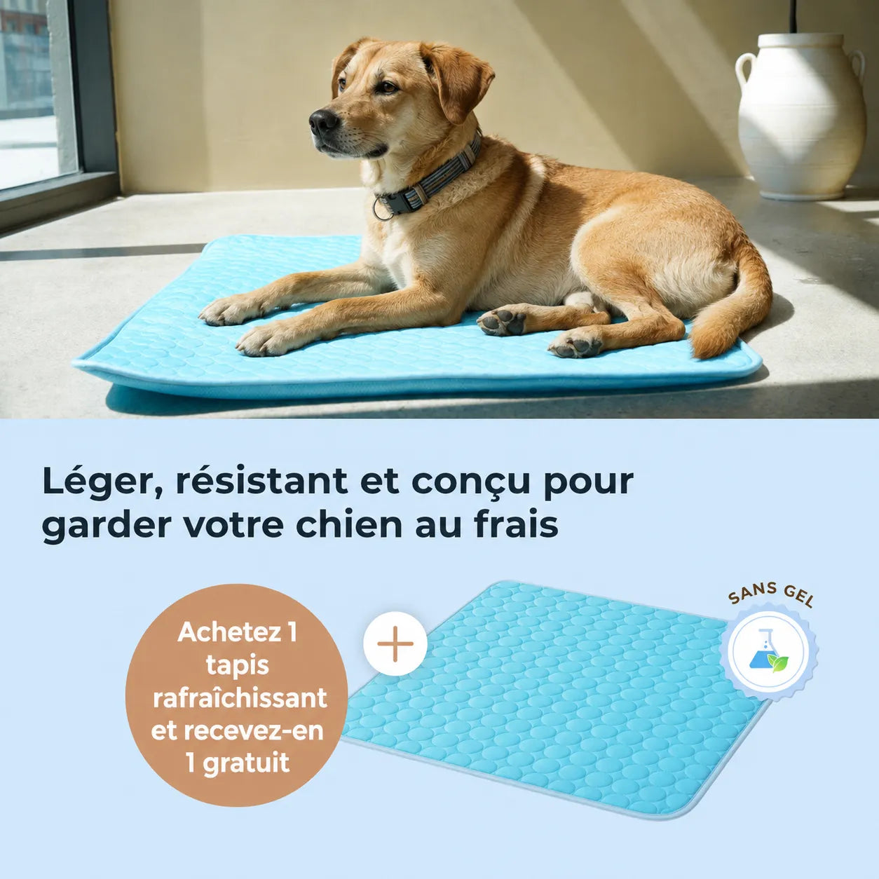 Tapis rafraîchissant pour chien et chat (1 acheté + 1 offert)