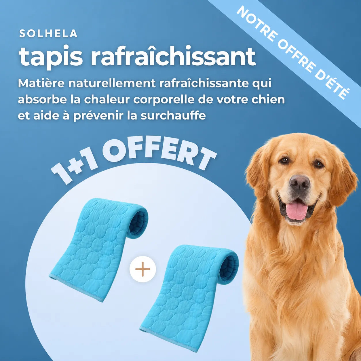 Tapis rafraîchissant pour chien et chat (1 acheté + 1 offert)
