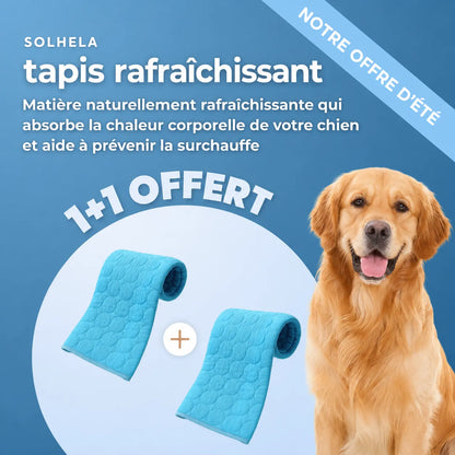 Tapis rafraîchissant pour chien et chat (1 acheté + 1 offert)