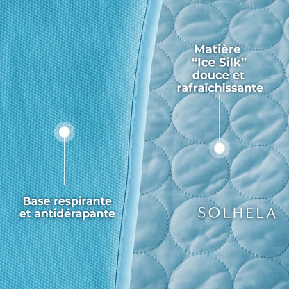 Tapis rafraîchissant pour chien et chat (1 acheté + 1 offert)
