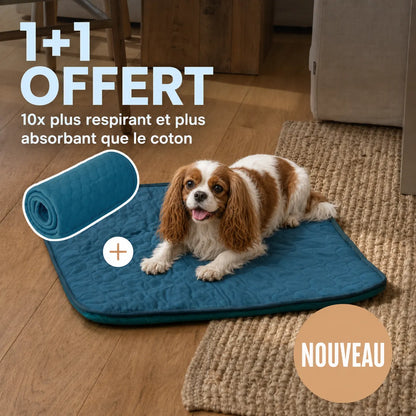 Tapis rafraîchissant pour chien et chat (1 acheté + 1 offert)
