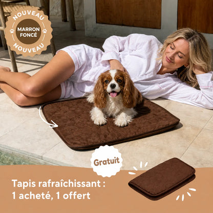 Tapis rafraîchissant pour chien et chat (1 acheté + 1 offert)