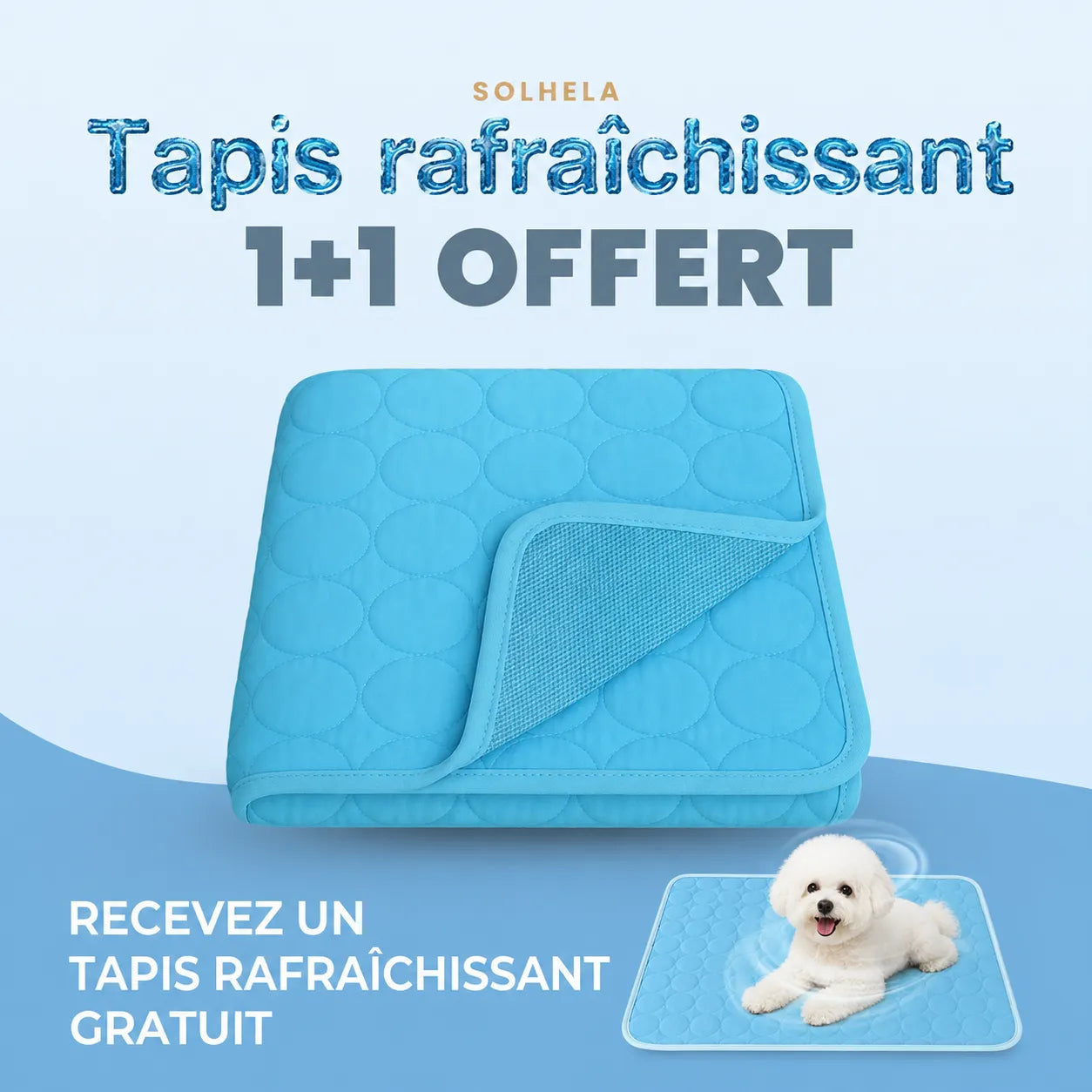 Tapis rafraîchissant pour chien et chat (1 acheté + 1 offert)