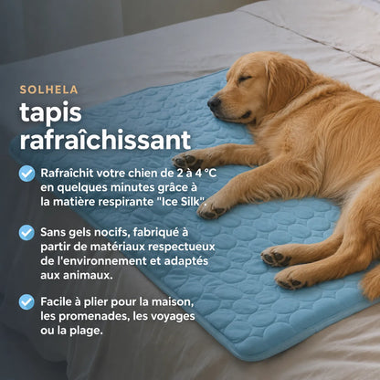 Tapis rafraîchissant pour chien et chat (1 acheté + 1 offert)