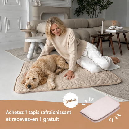 Tapis rafraîchissant pour chien et chat (1 acheté + 1 offert)