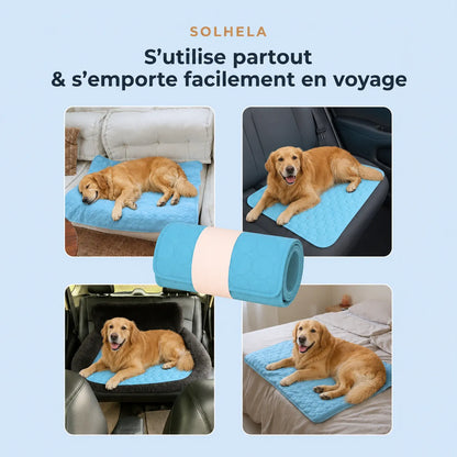 Tapis rafraîchissant pour chien et chat (1 acheté + 1 offert)