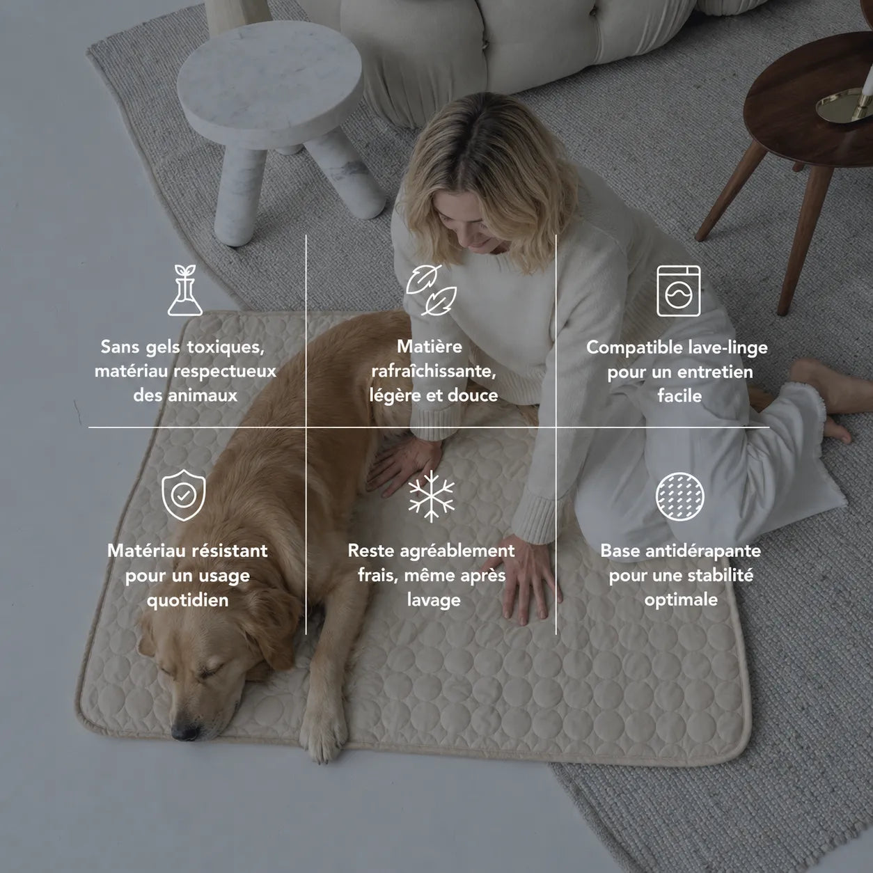 Tapis rafraîchissant pour chien et chat (1 acheté + 1 offert)