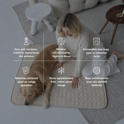 Tapis rafraîchissant pour chien et chat (1 acheté + 1 offert)