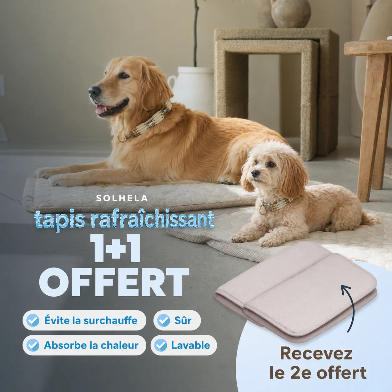 Tapis rafraîchissant pour chien et chat (1 acheté + 1 offert)