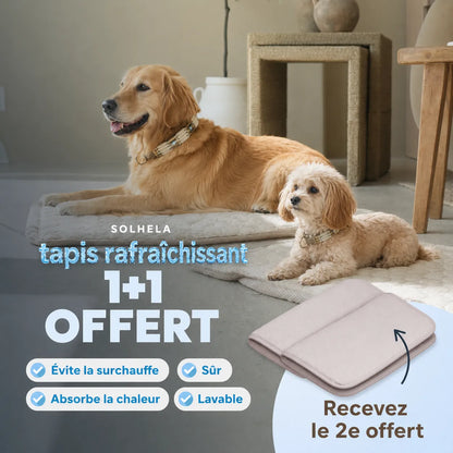 Tapis rafraîchissant pour chien et chat (1 acheté + 1 offert)